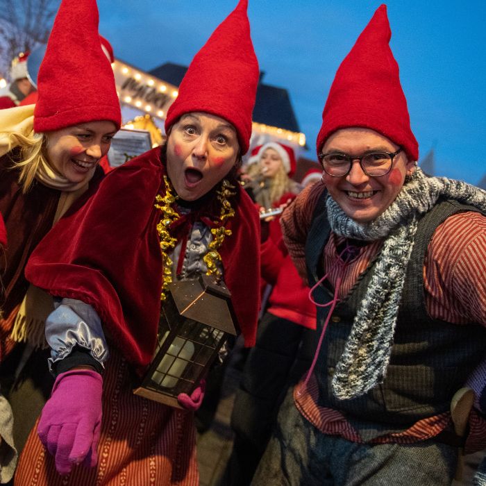 Viborgs Drillenisser Viborgs Drillenisser