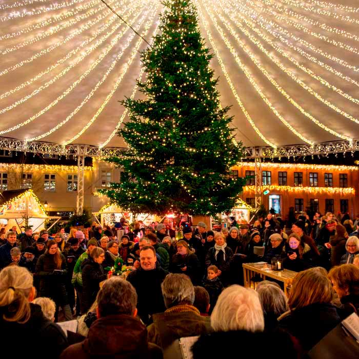 Musik hver dag med Viborgs Musikalske Julekalender Musik hver dag med Viborgs Musikalske Julekalender