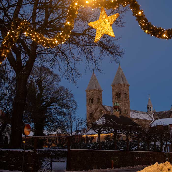 Velkommen til Jul i Viborg