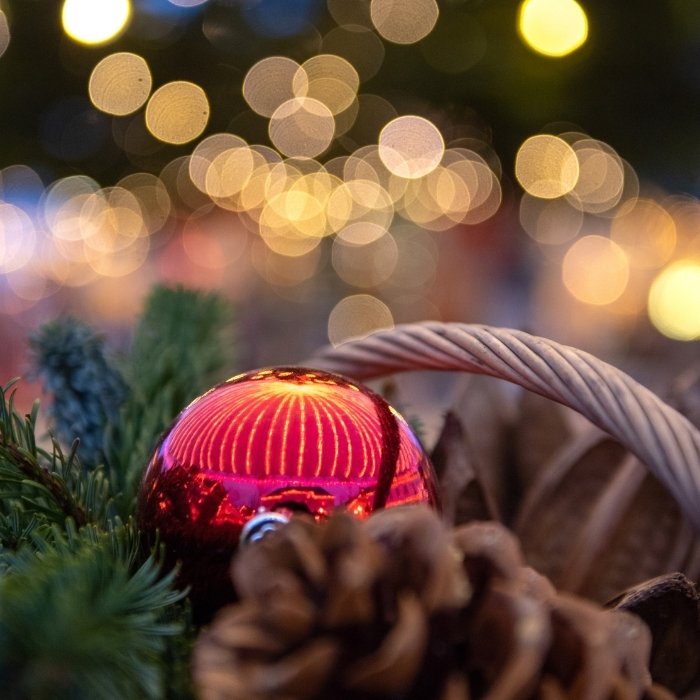 Skoler der besøger Jul i Viborg