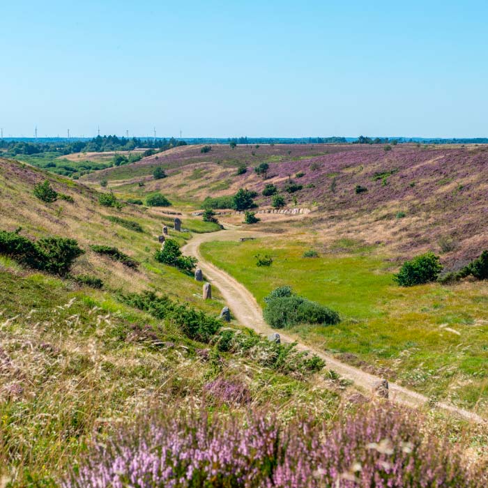 Oplev Kongenshus Mindepark Oplev Kongenshus Mindepark